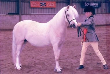 BENGAD ROSERY PEA 1992-2017