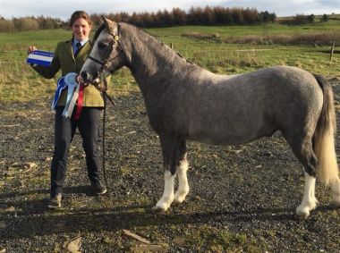 DUKEHILL CHIMICHANGA