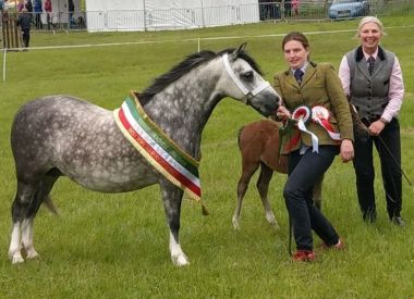 LINGARDSWOOD SEREFINA