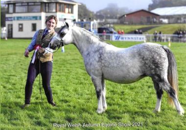 LINGARDSWOOD SEREFINA